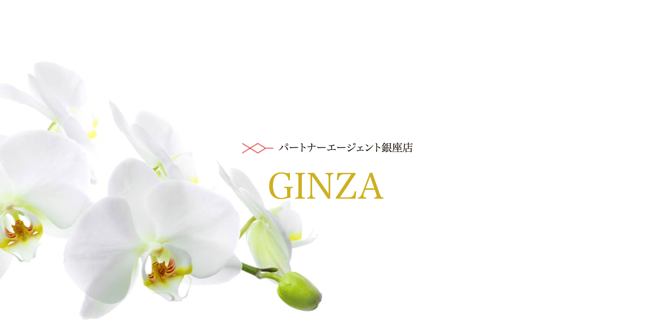 パートナーエージェント